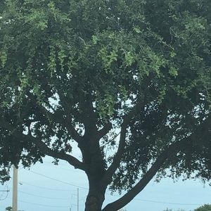 Meet your Posher, Kathleen